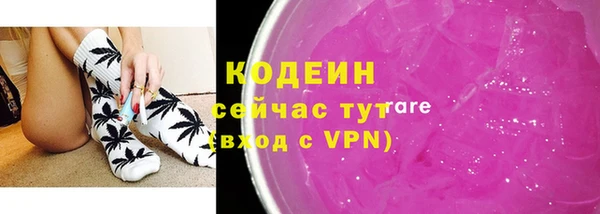 соль ск Арсеньев