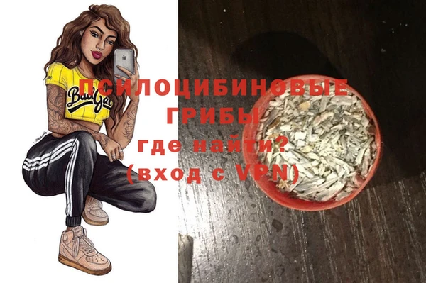 ПСИЛОЦИБИНОВЫЕ ГРИБЫ Армянск