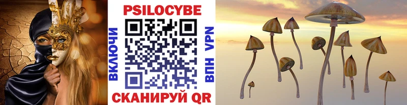 Псилоцибиновые грибы Magic Shrooms  мориарти какой сайт  Горно-Алтайск  купить наркотики сайты 